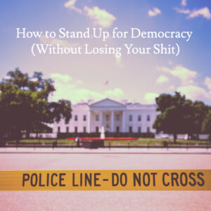 How to Stand Up for Democracy (Without Losing Your Shit)